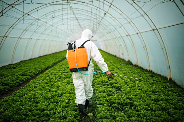 Best Best Pest Control Companies  in Redondo Beach, CA