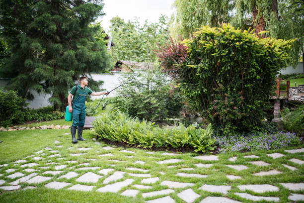 Best Affordable Pest Control Services  in Redondo Beach, CA