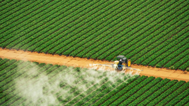 Best Commercial Pest Control Services  in Redondo Beach, CA