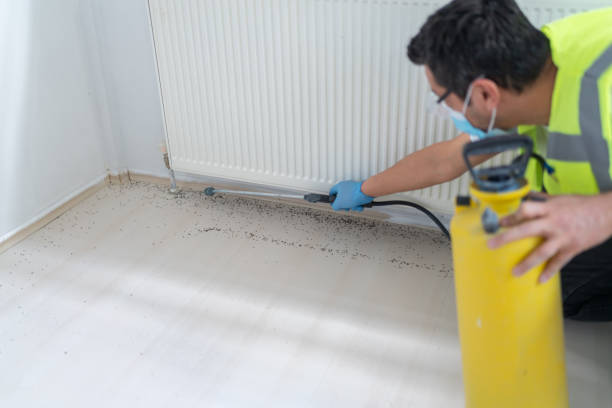 Best Commercial Pest Control Services  in Redondo Beach, CA