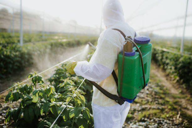 Best Emergency Pest Control  in Redondo Beach, CA